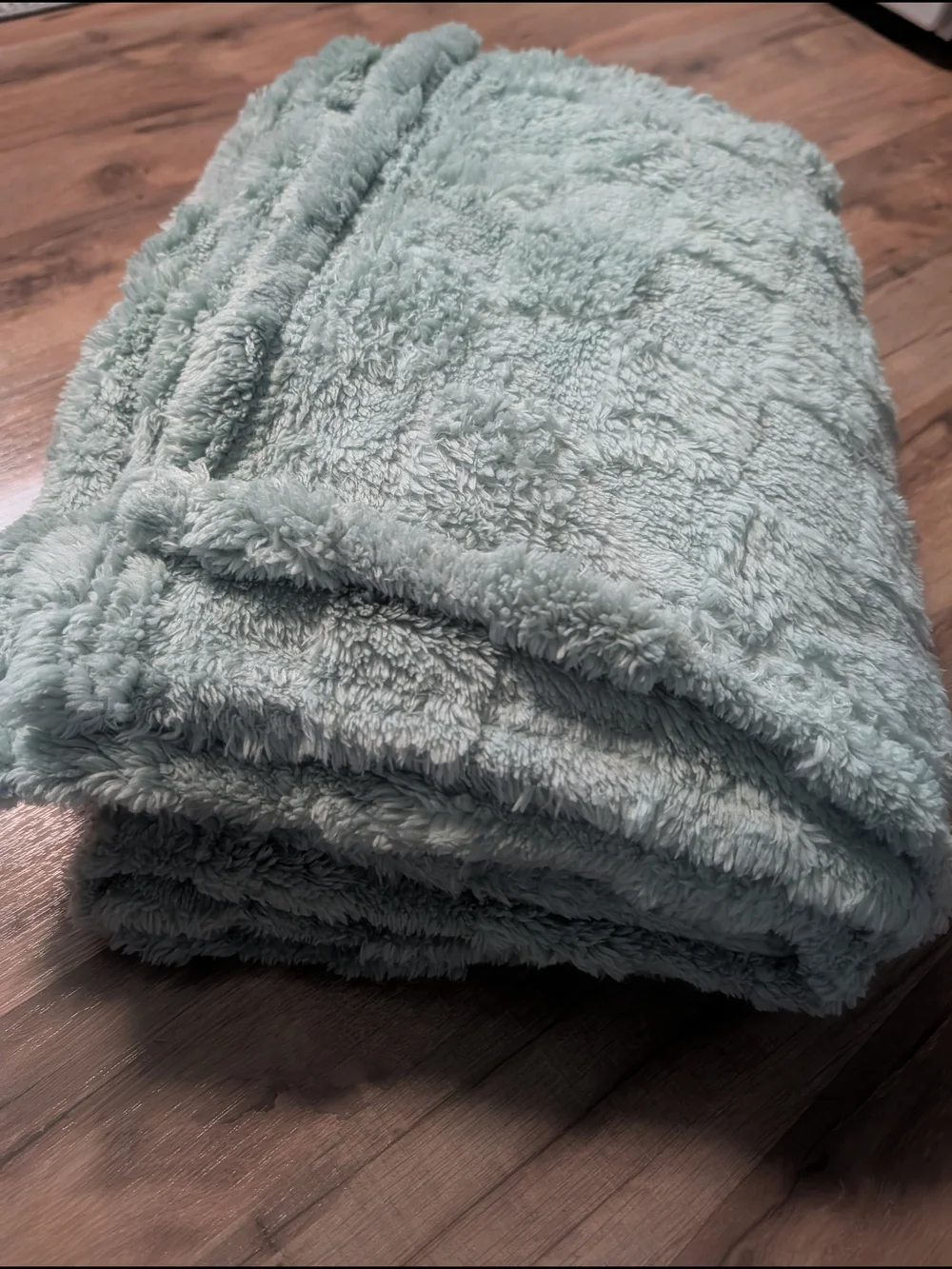 Source Unknown Plush Throw Blanket - Light Mint